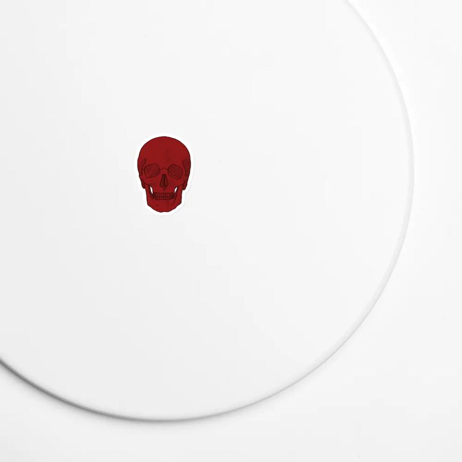 Skull magnet product image (7)