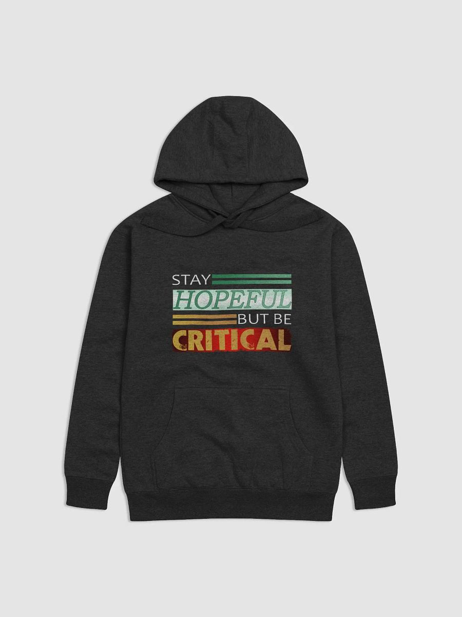 Stay Hopeful But Be Critical 2024 [Hoodie] product image (1)