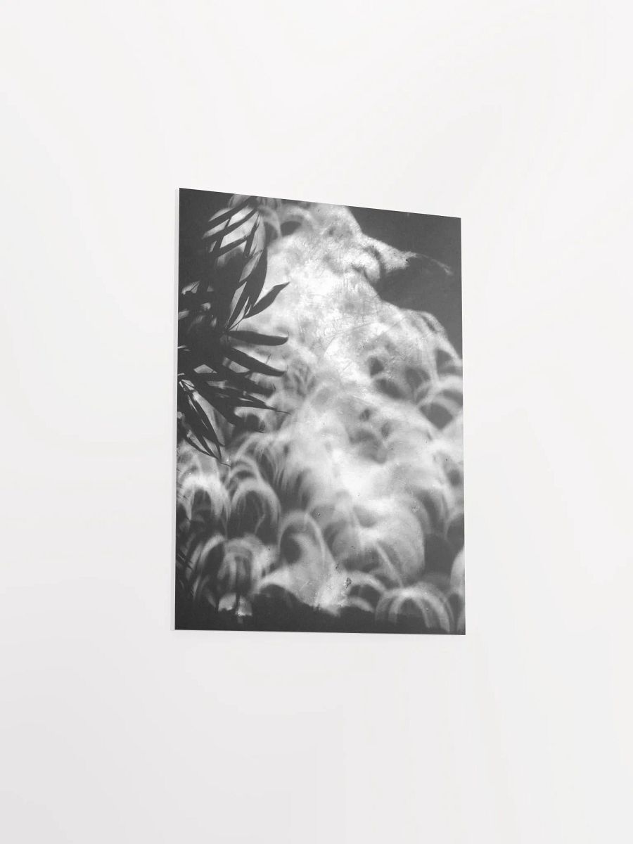 Crescents of Light from the Eclipse - Poster 2 product image (31)