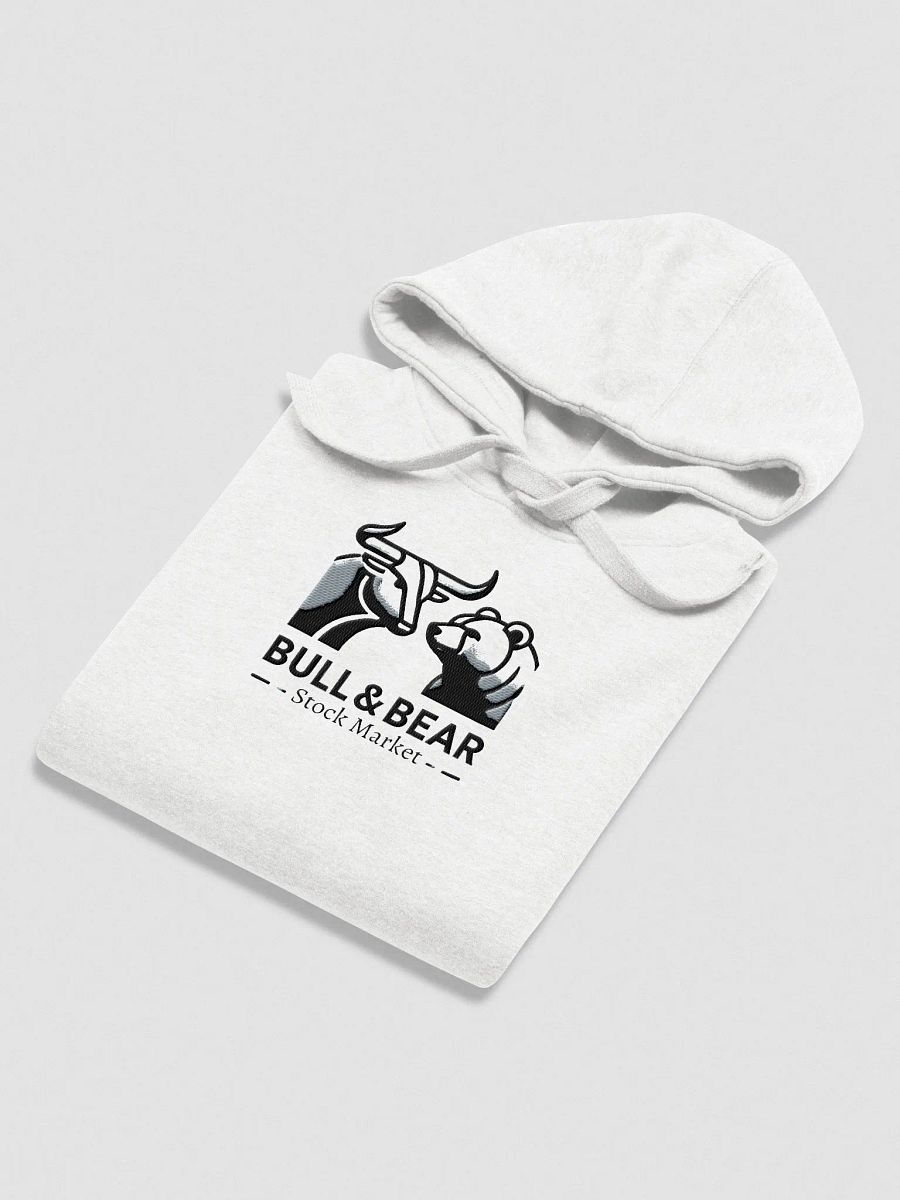 BULL&BEAR / HOODIE BORDADA product image (4)