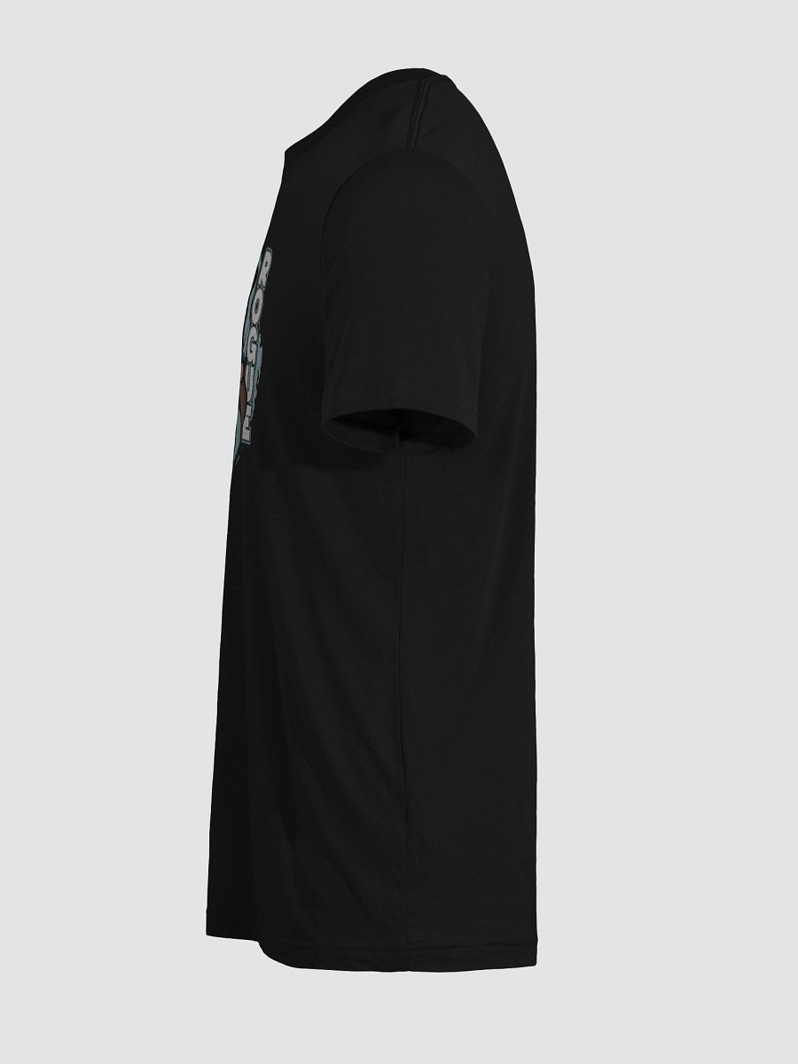 The Rogue (Triblend T-Shirt) product image (105)