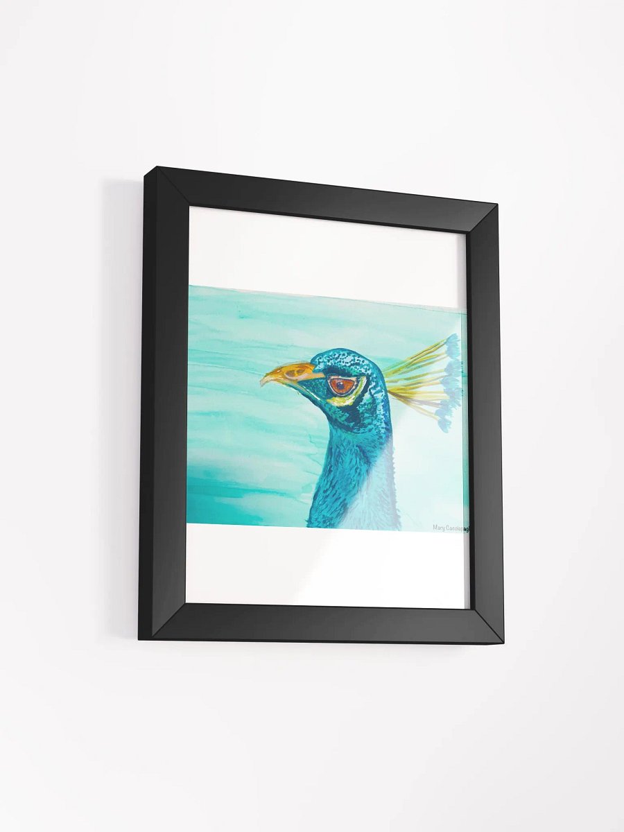 Peacock product image (4)