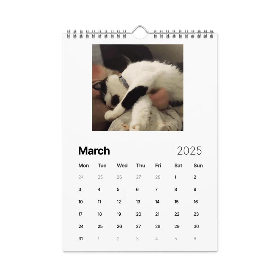 50 Shades of Haru - 2025 Wall Calendar product image (9)