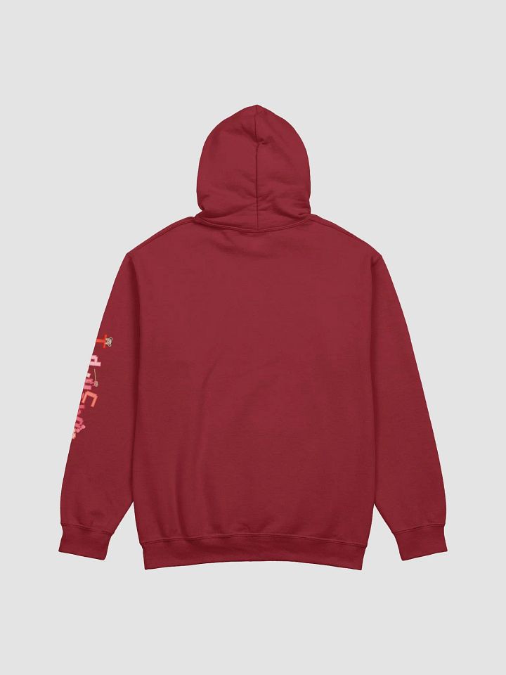 Valentine Bikini Teddy Hoodie product image (9)