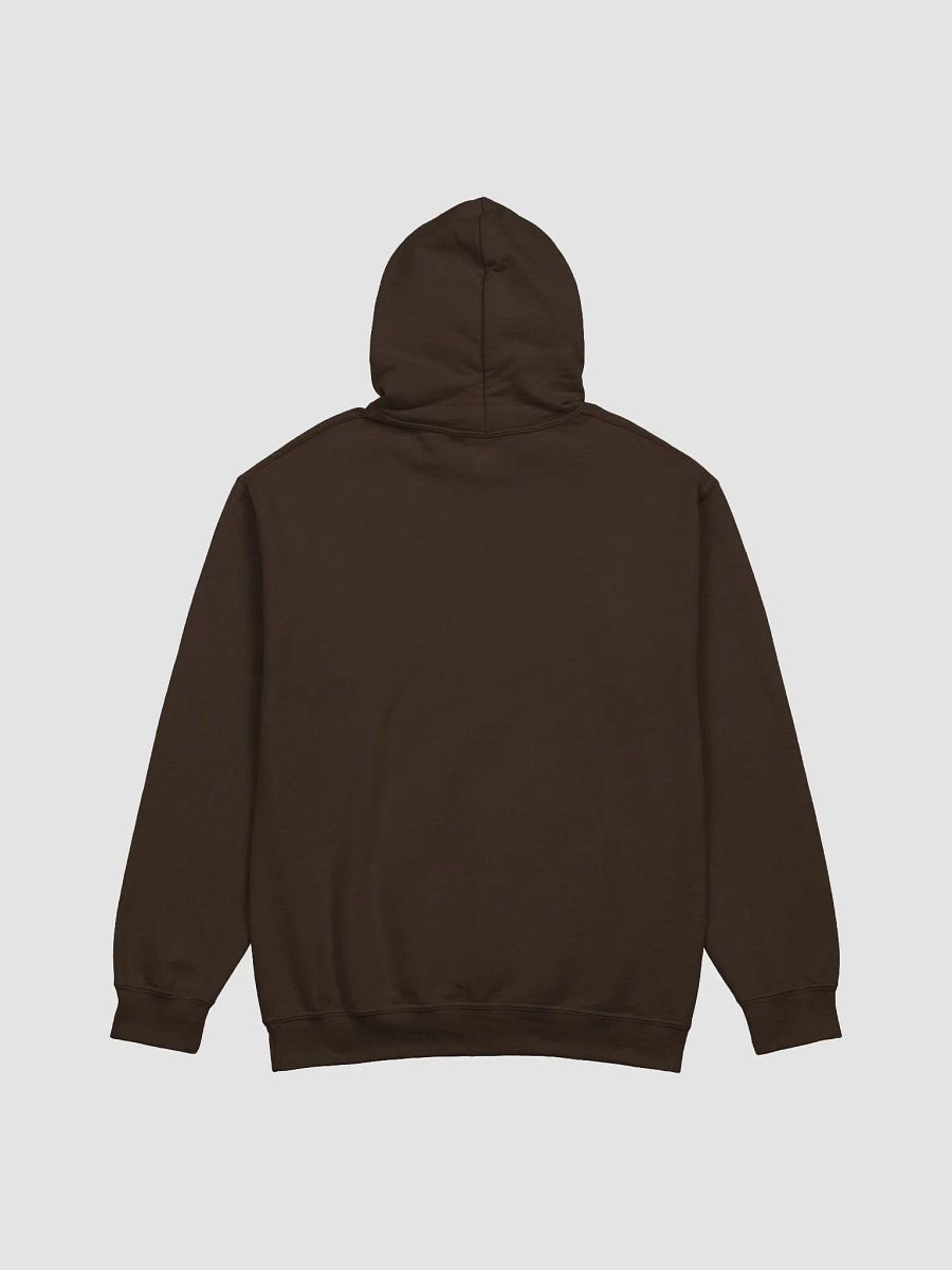 BUBBLY HOODIE (PINK LOGO) product image (27)
