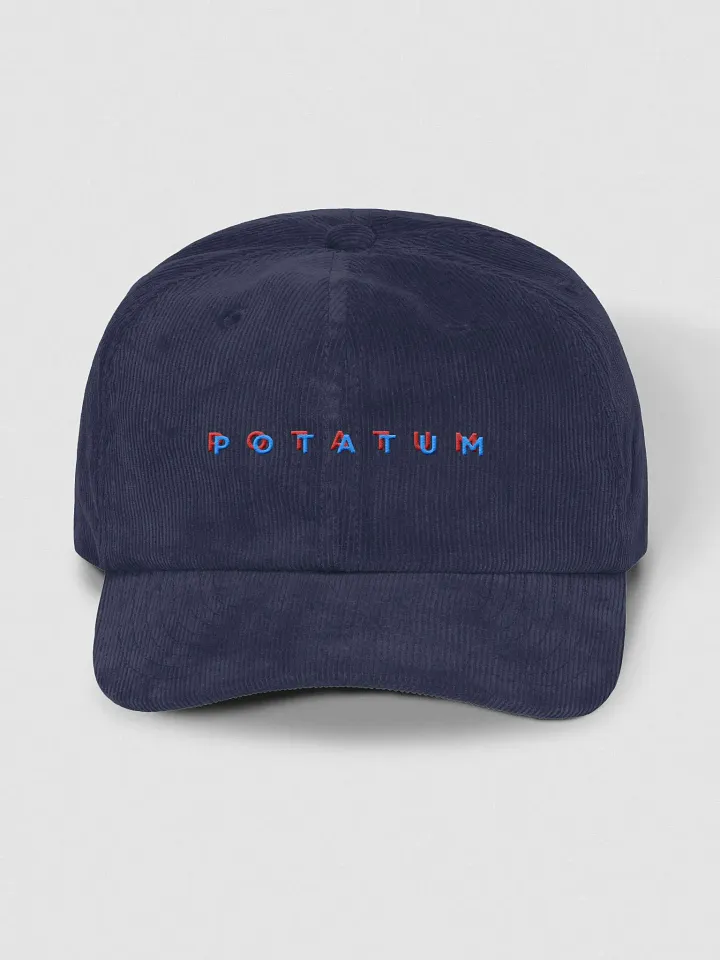 POTATUM 3D corduroy dad hat product image (26)
