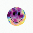 animated twitch emote product image (1)