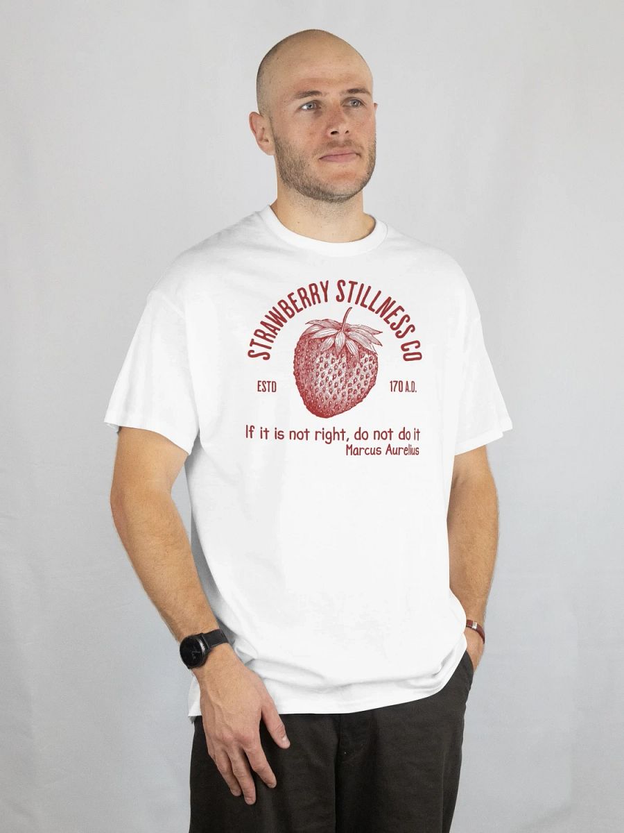 STOIC STRAWBERRY TSHIRT product image (3)