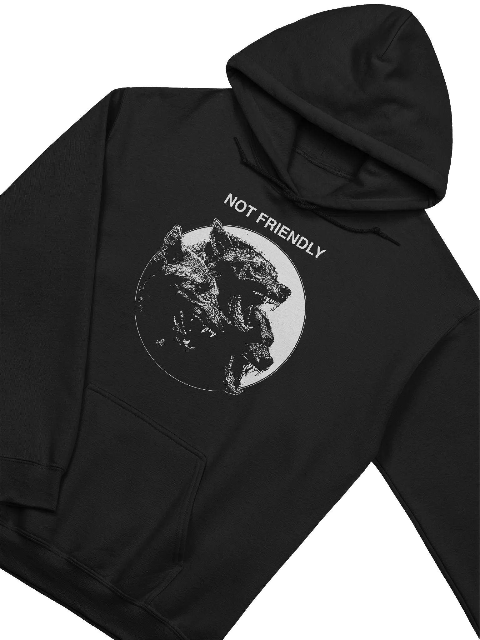 NOT FRIENDLY - Hoodie product image (2)