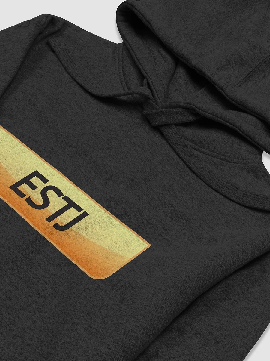 ESTJ Hoodie product image (3)