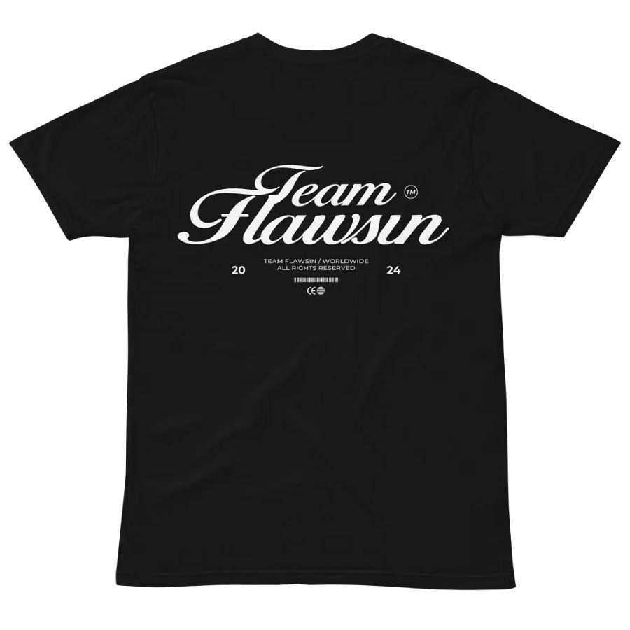 TF AS Colour Unisex Premium T-Shirt product image (4)