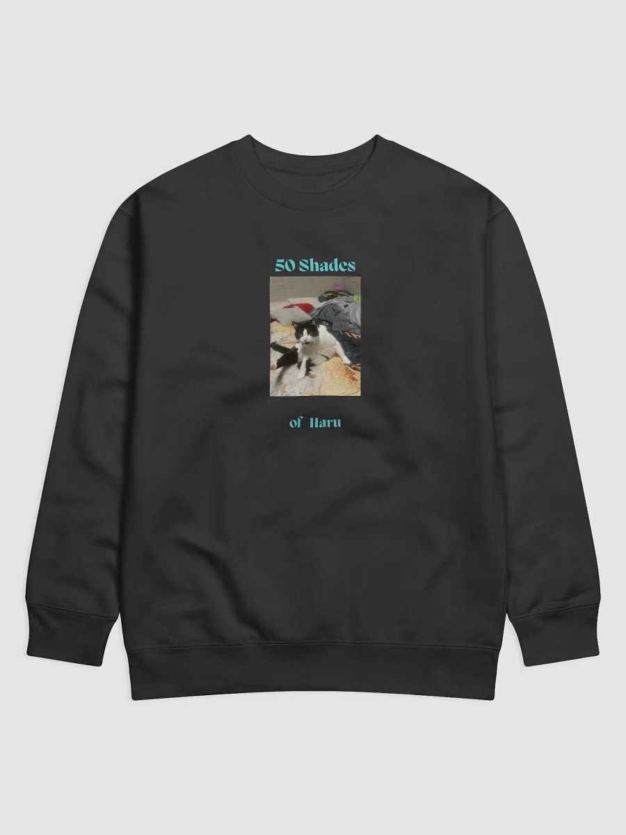 50 Shades of Haru Relaxed Sweatshirt product image (1)