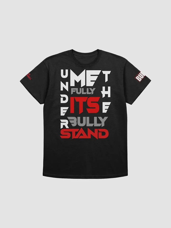 UNDERSTAND FULLY (T-SHRIT ) product image (1)