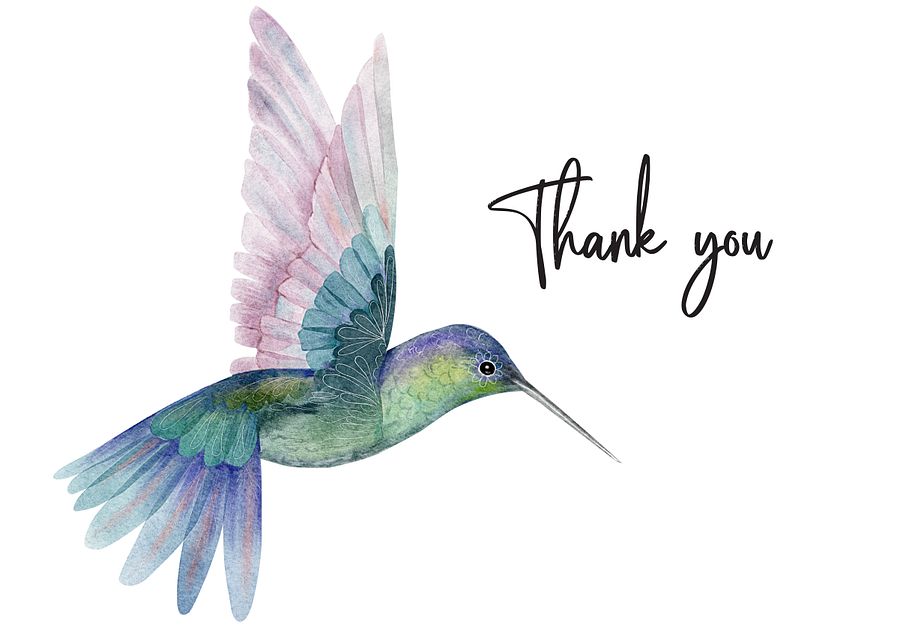 thank you cards bird 3 different birds product image (5)