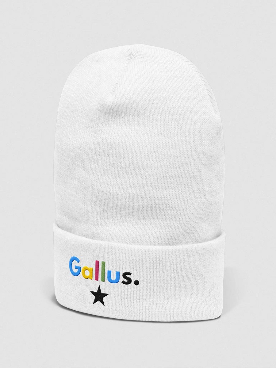 Gallus Hats product image (3)