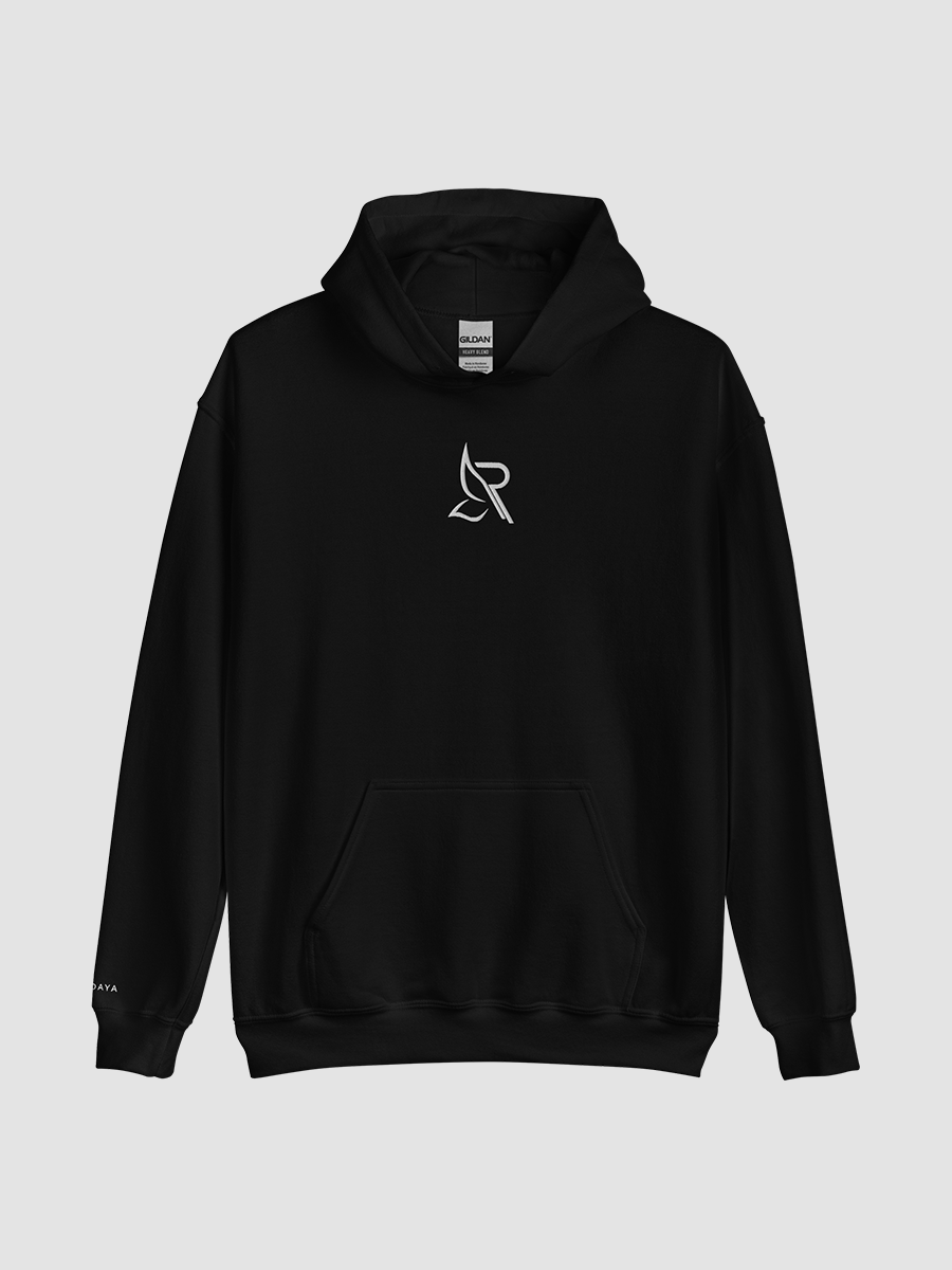 Rendaya Embroidered Hoodie product image (3)