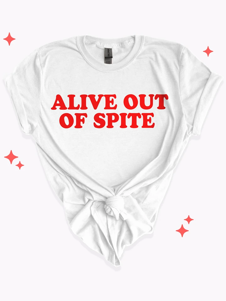 Spiteful Shirt product image (7)
