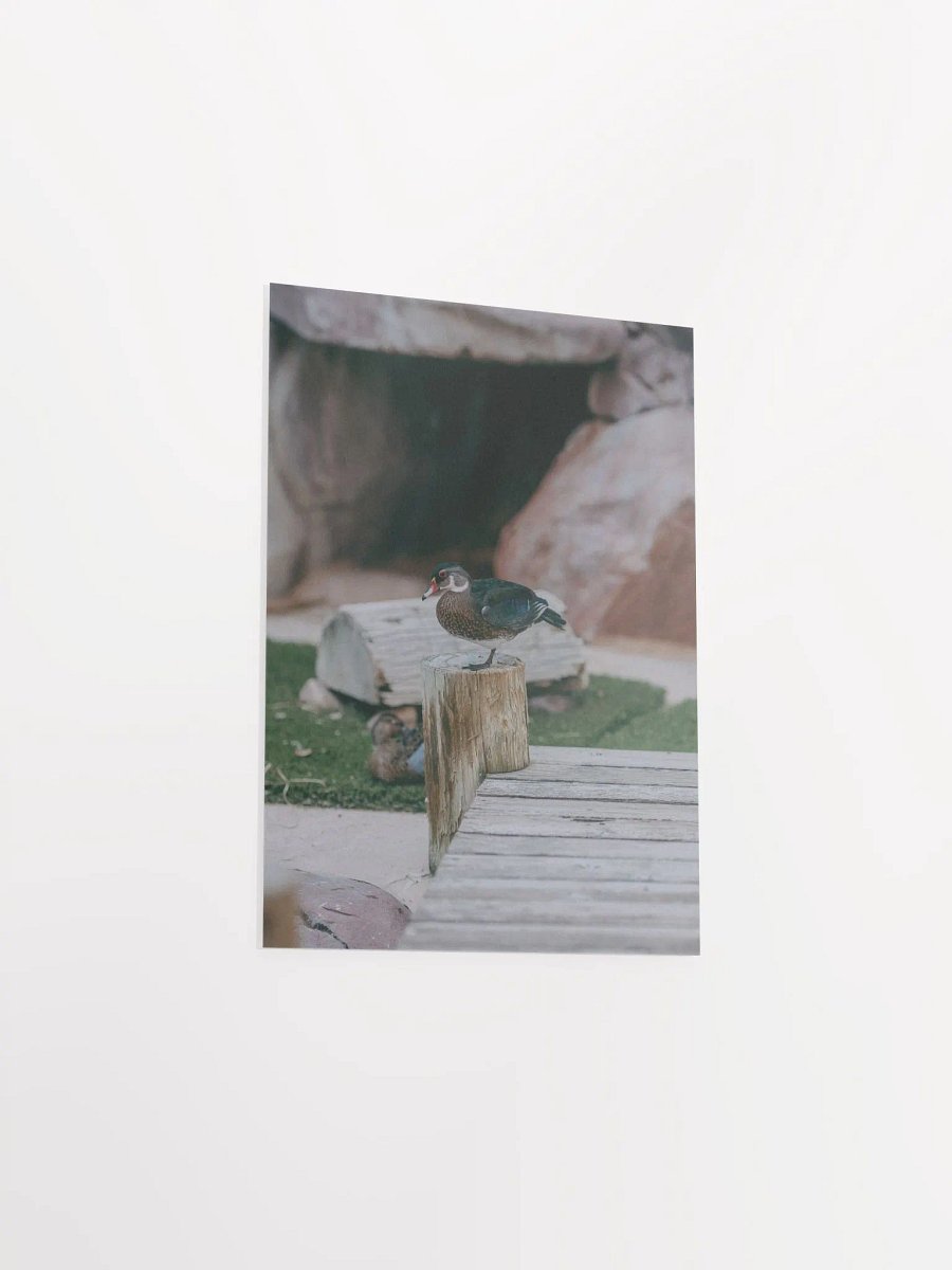 Bird #1 product image (14)
