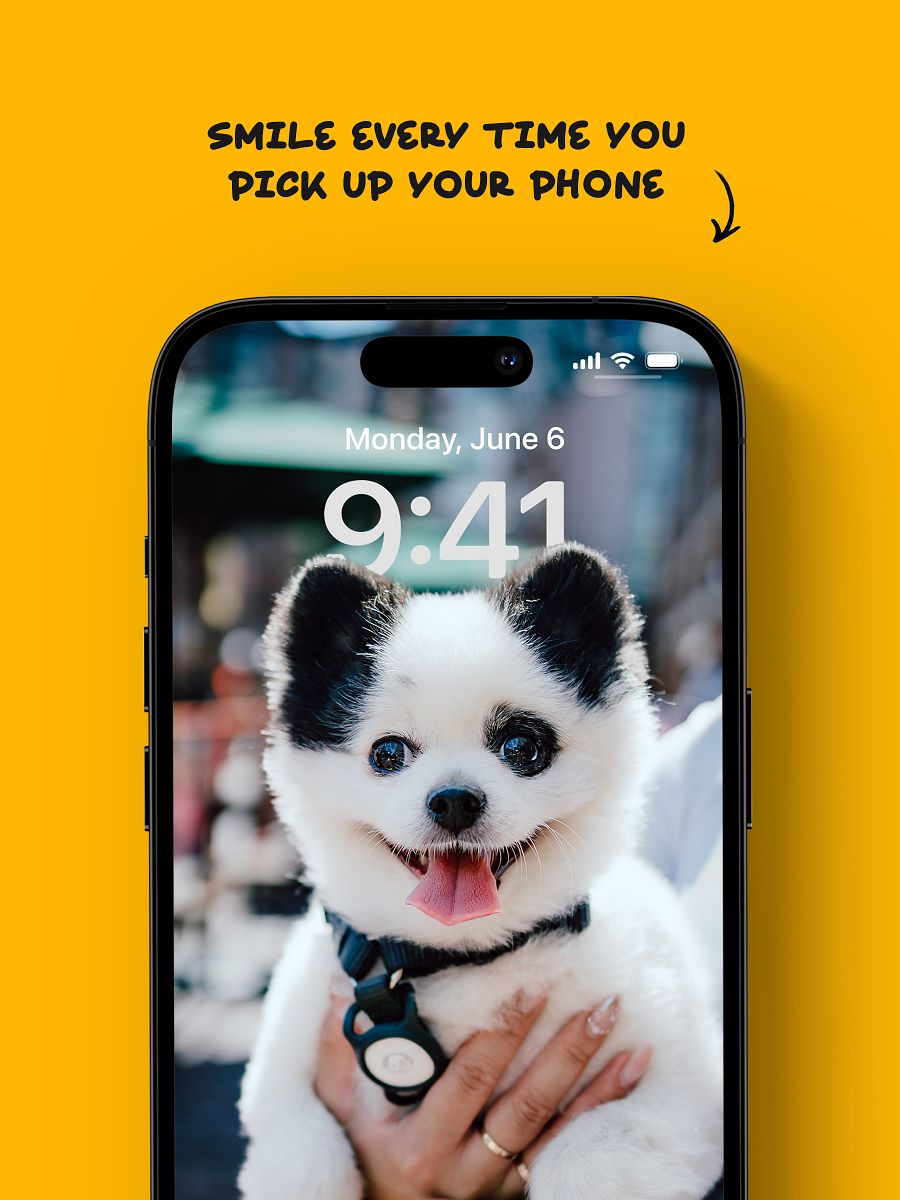 Wallpaper Pack product image (4)