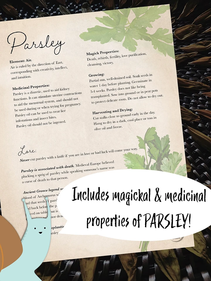 Parsley Grimoire Page - Digital Download product image (1)