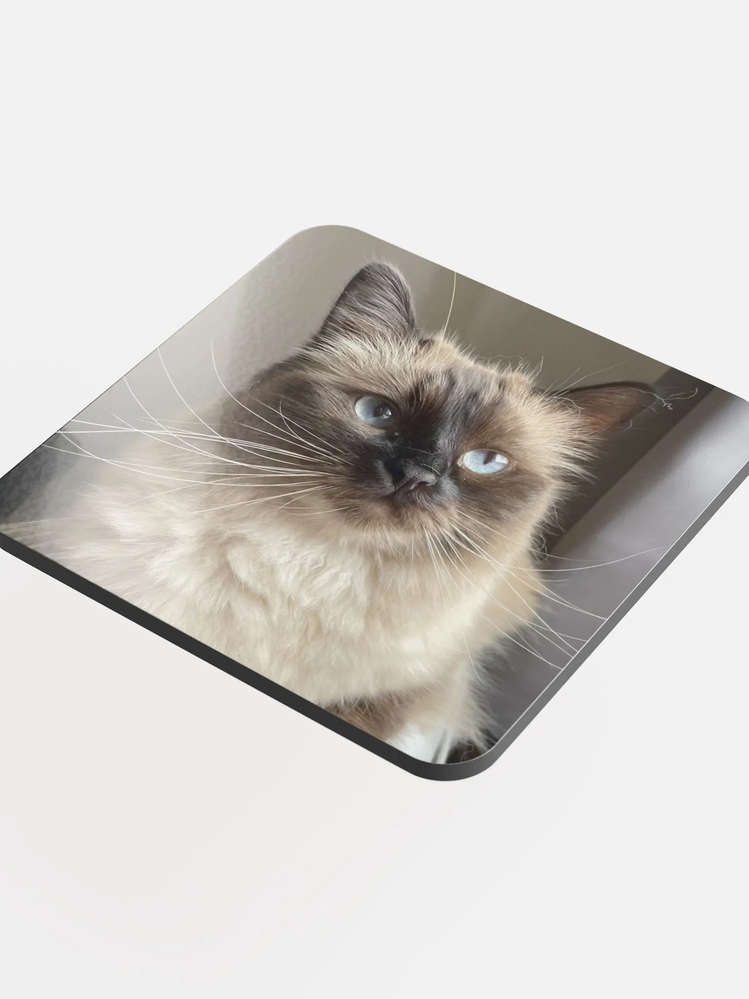 Lilith Coaster product image (4)