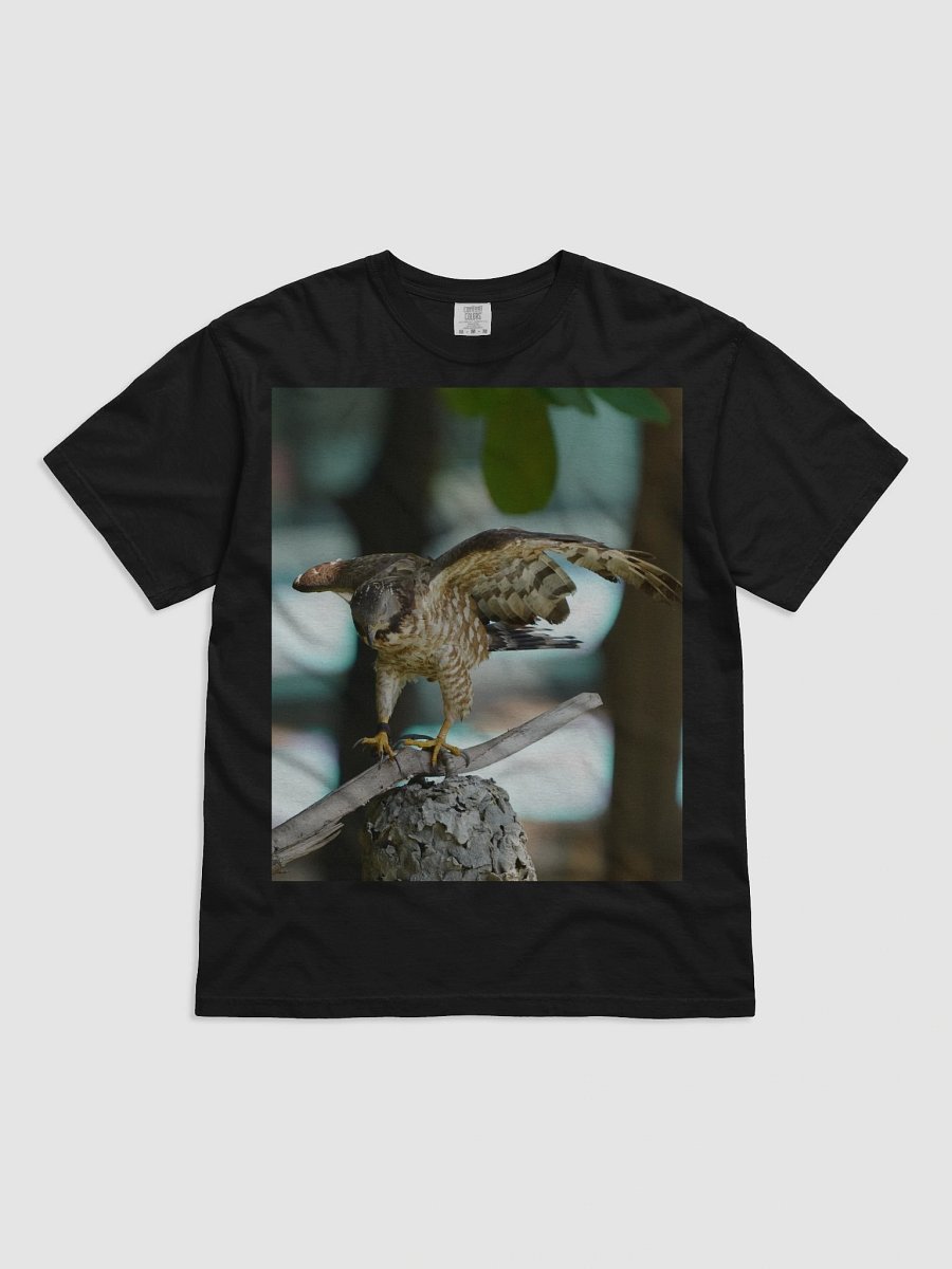 Majestic Falcon Relaxed Fit T-Shirt product image (1)