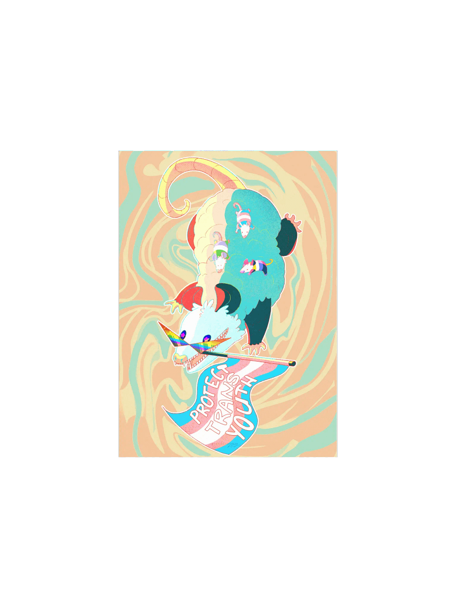 Protect Trans Youth Possum Print product image (1)