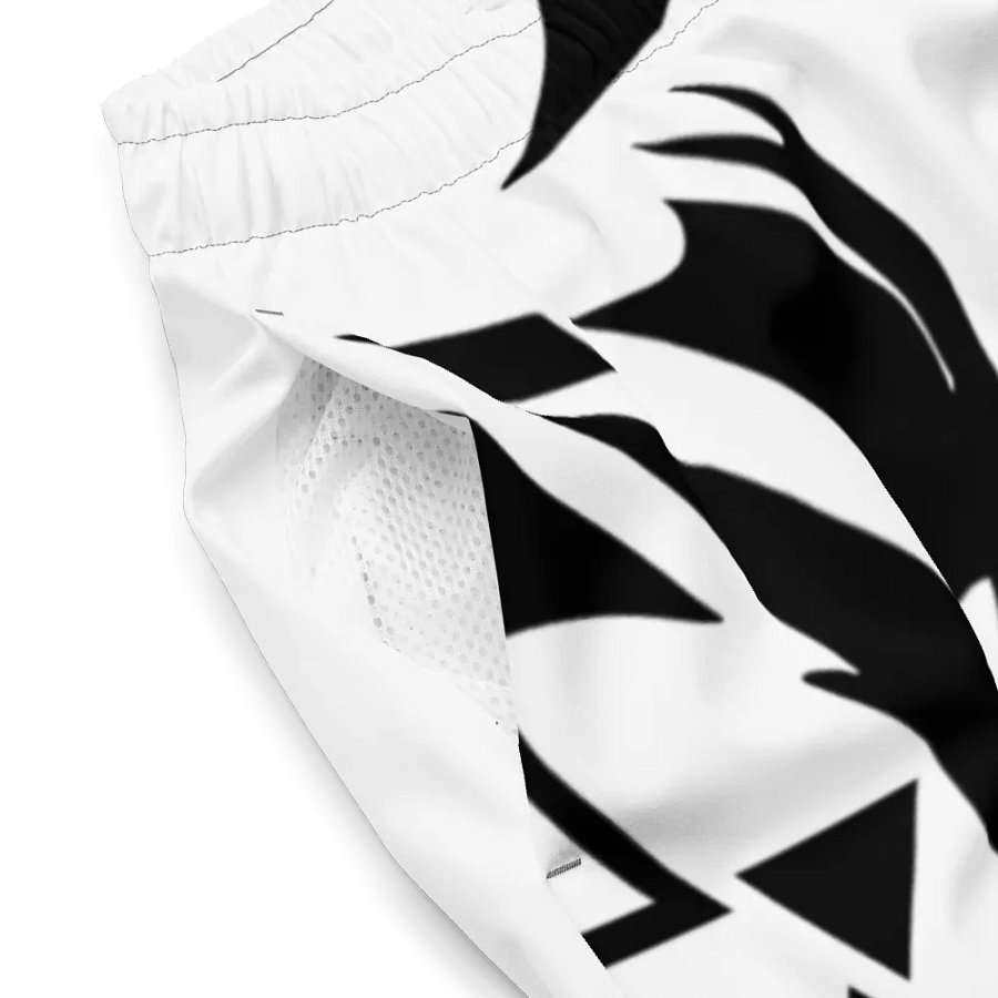 SC Swim Trunks product image (10)