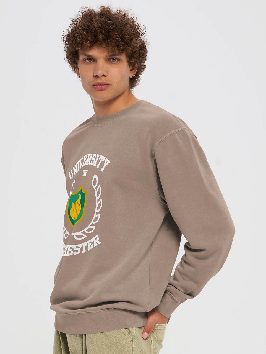 University of Britechester Crewneck product image (6)