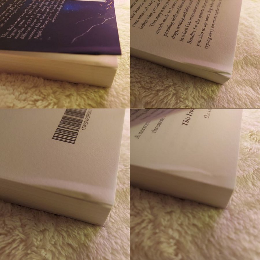 Damaged & Discounted Paperback: This Midsummer Heart product image (3)