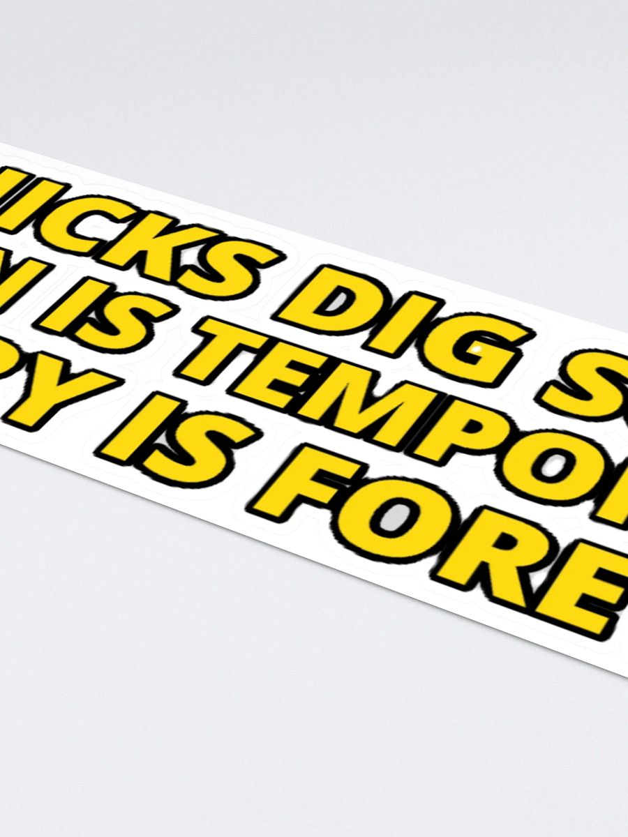 CHICKS DIG SCARS, PAIN IS TEMPORARY, GLORY IS FOREVER product image (4)