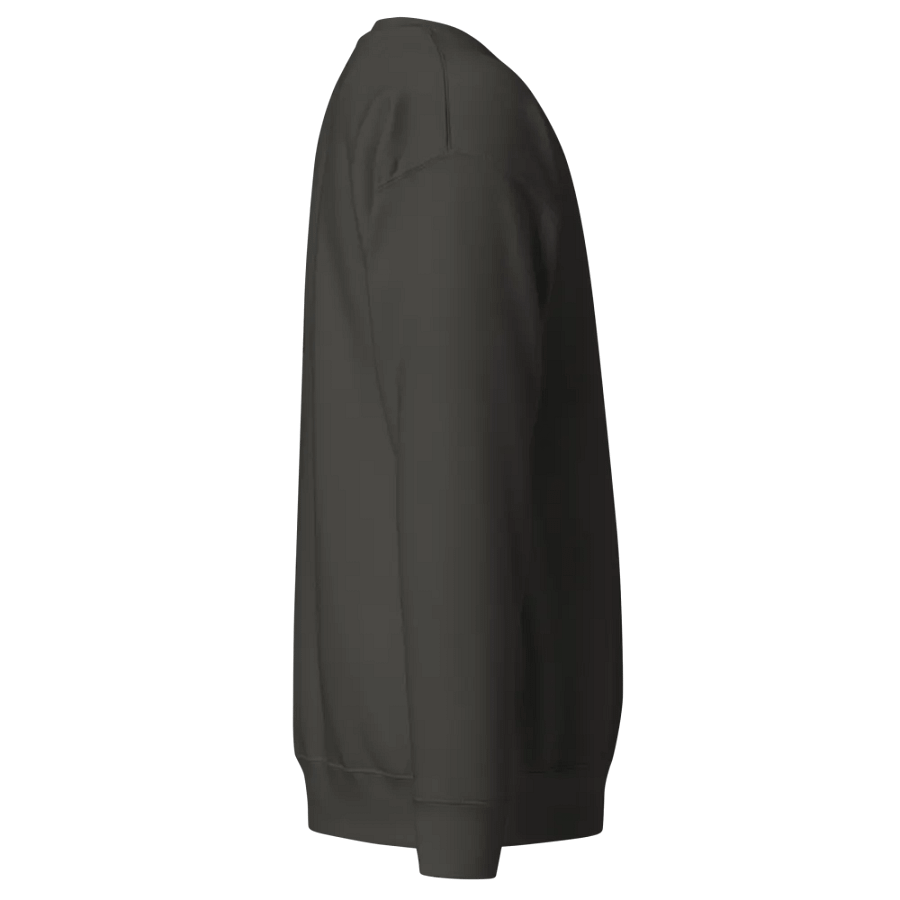 the bolt sweatshirt product image (40)