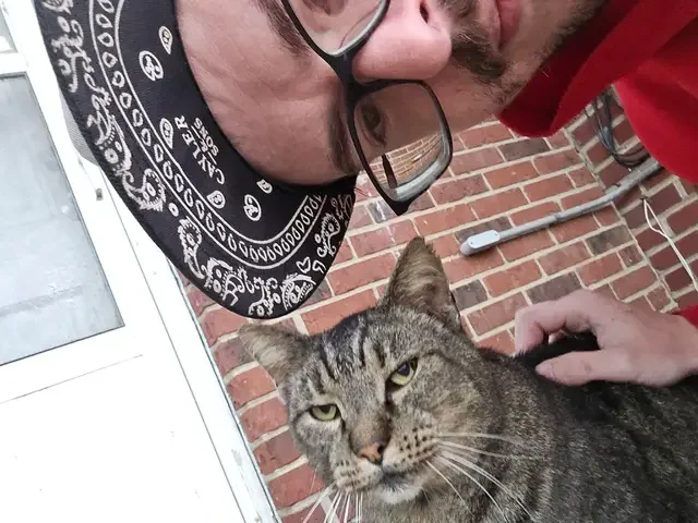 💡 Motivation source: All the kitty meows give me the motivation and strength to keep going. #kitty #cats #catsoftiktok #selfie 