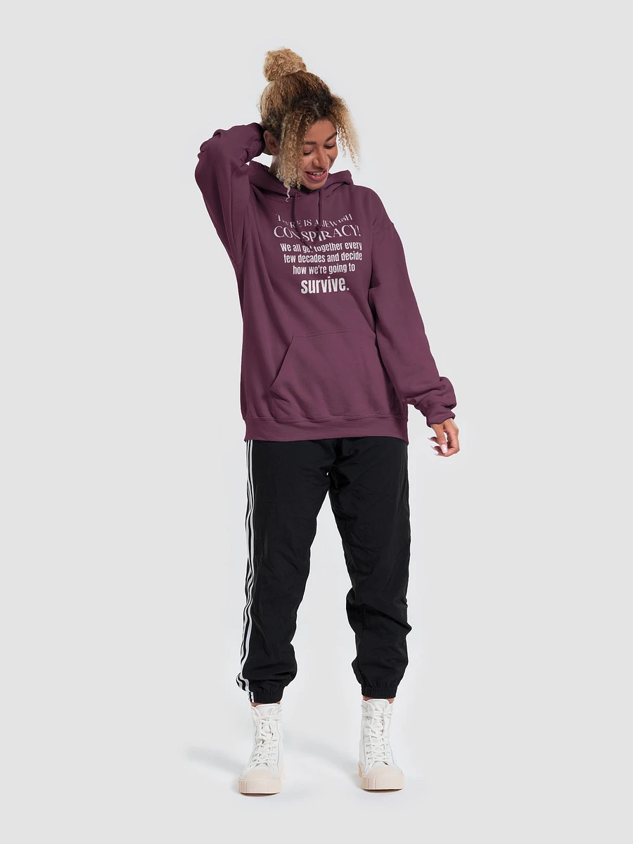 Jewish Conspiracy Hoodie product image (17)