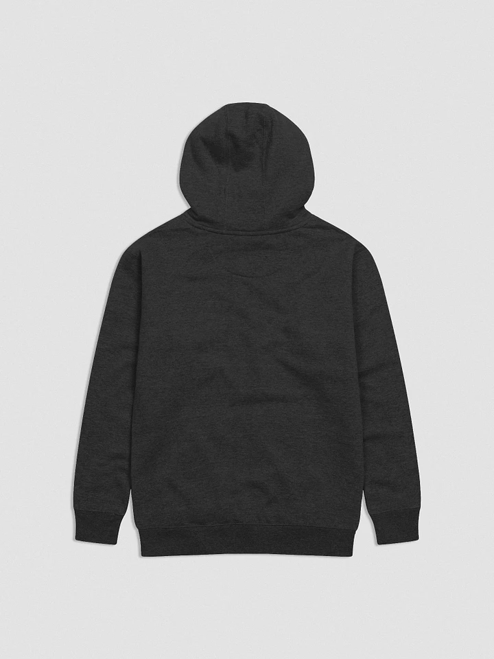 Frame Embroidered Hoodie product image (2)