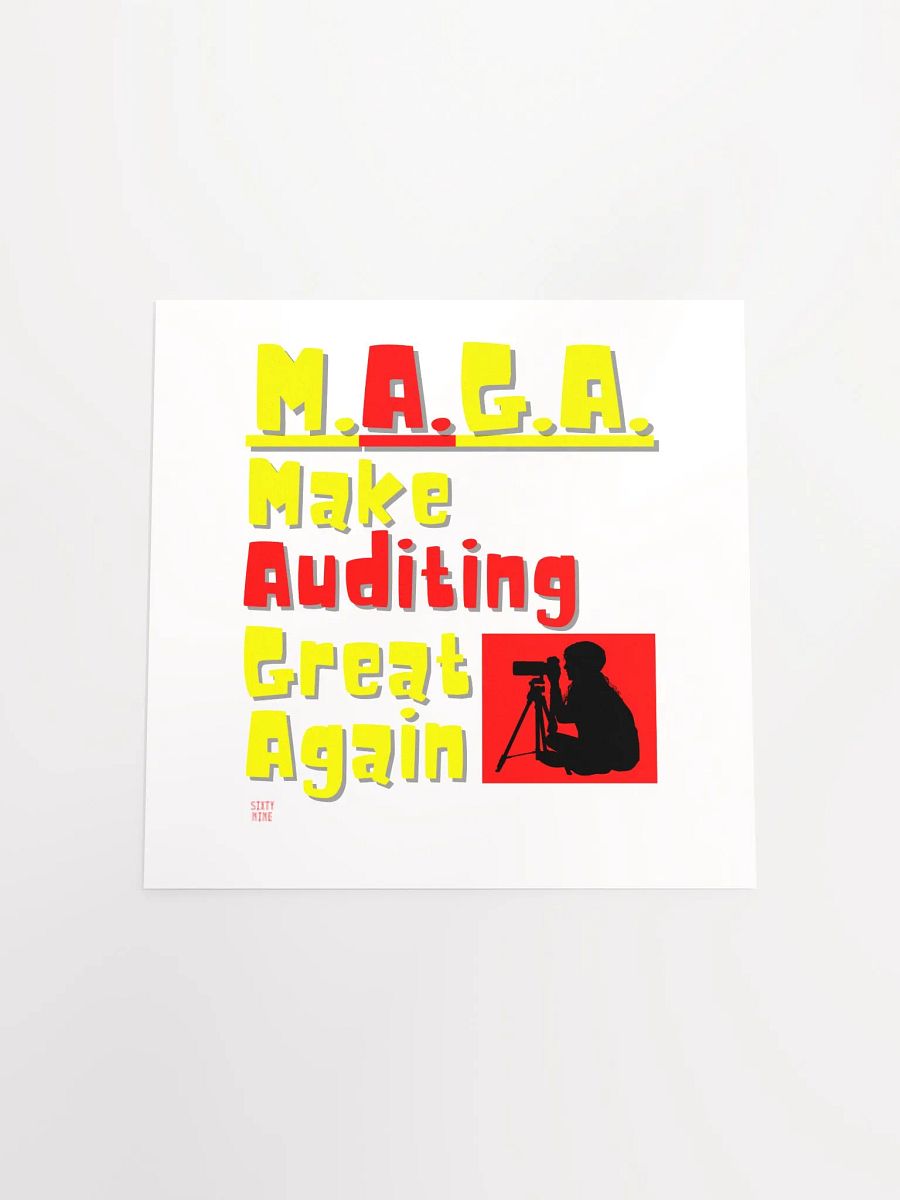 MAKE AUDITING GREAT AGAIN product image (16)