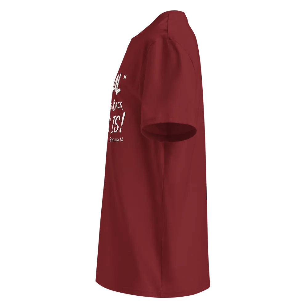 Revelation 14 | Unisex Shirt product image (3)