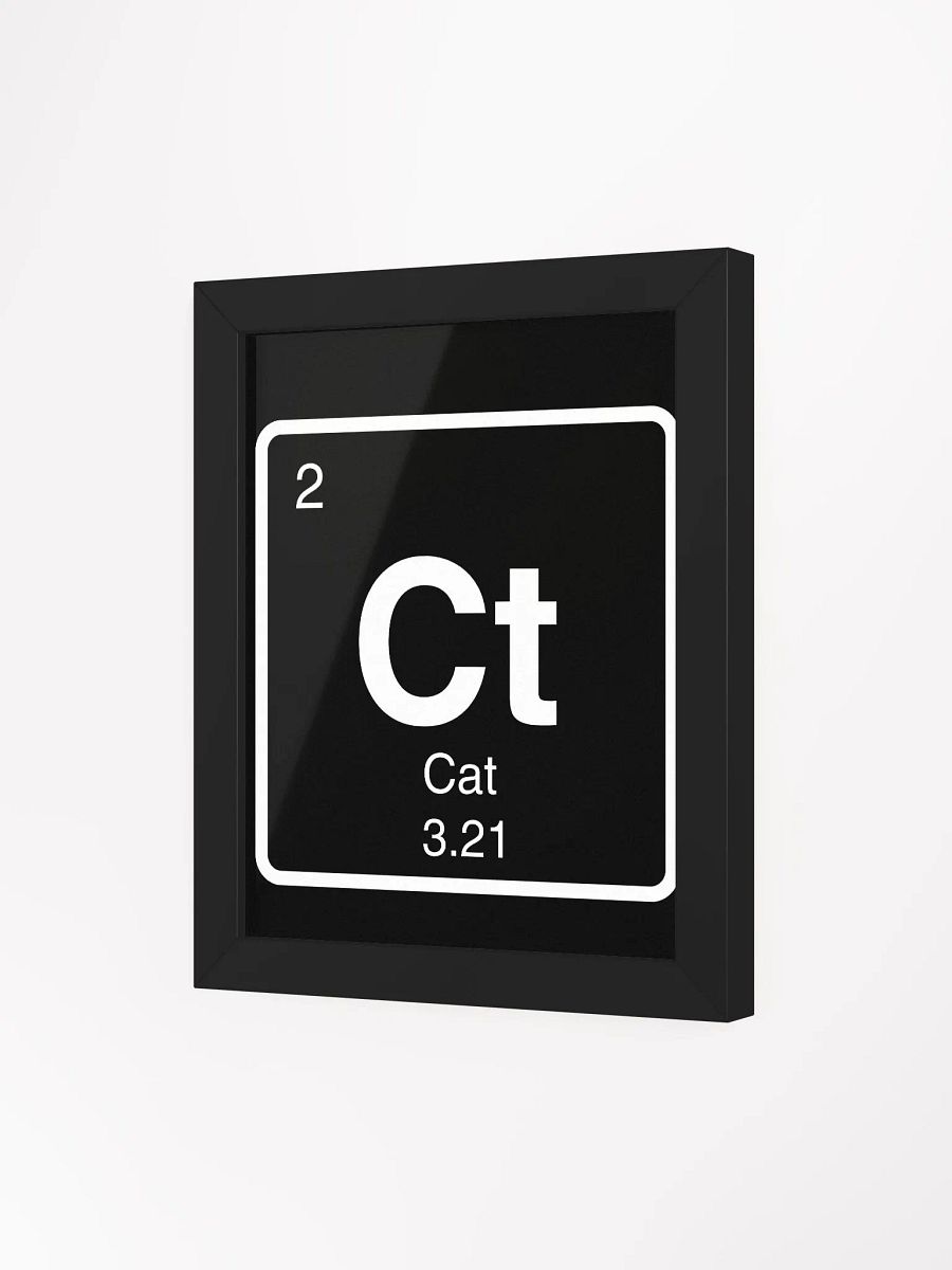 Framed High-Quality Matte Poster (in) product image (79)