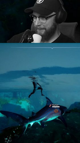 Maneater is INSANE! 🦈🌊

IMAGINE the trauma. 👀🙈

Playing this game makes me feel like a PSYCHOPATH. 😅

#sharks #shark #sharkwe...