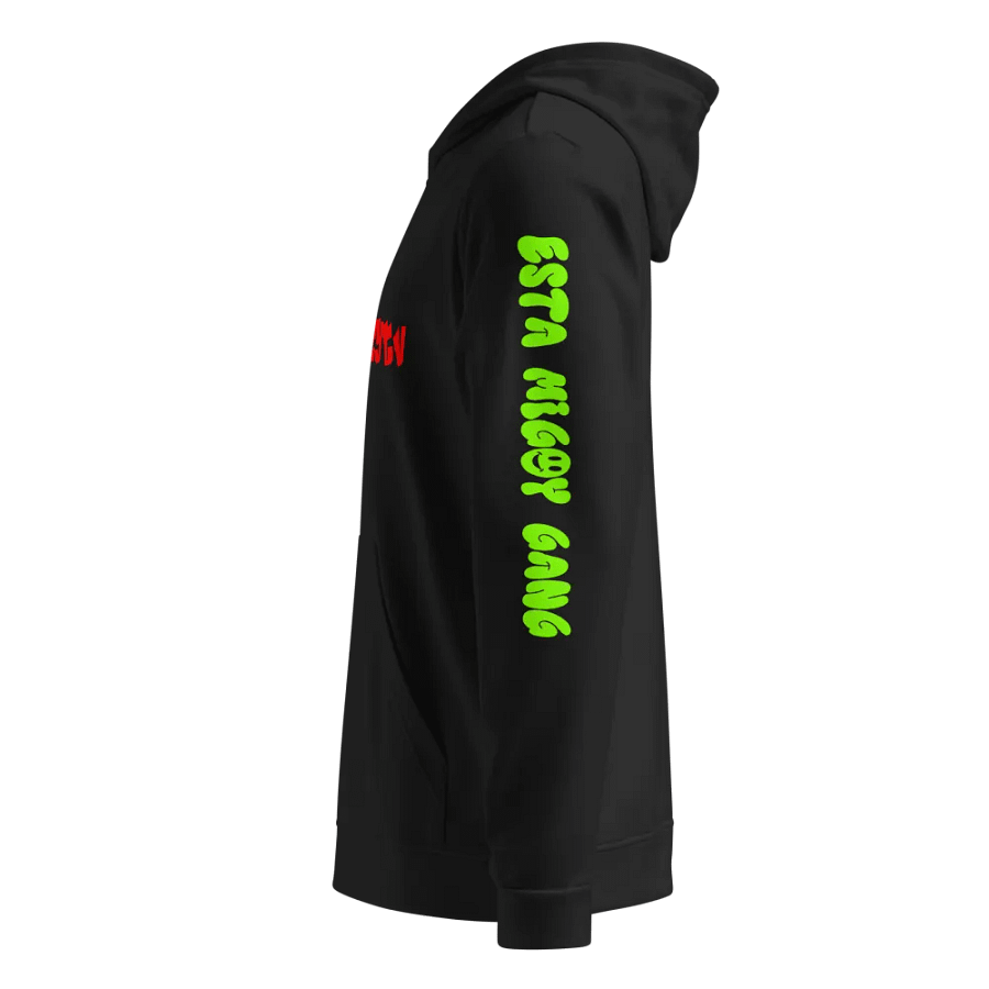 Lilbizzytv Adidas Limited Edition hoodie! product image (5)