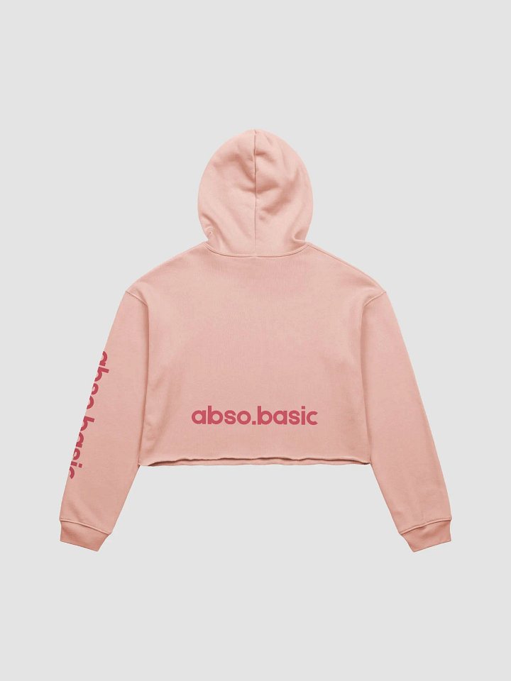 Dirty Angel graffiti Crop Hoodie product image (12)