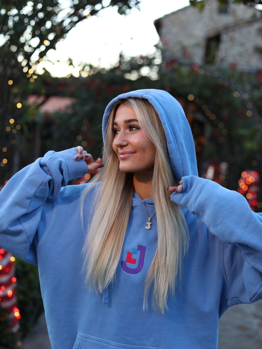 Jennah Pigment-dyed Embroidered Hoodie product image (5)