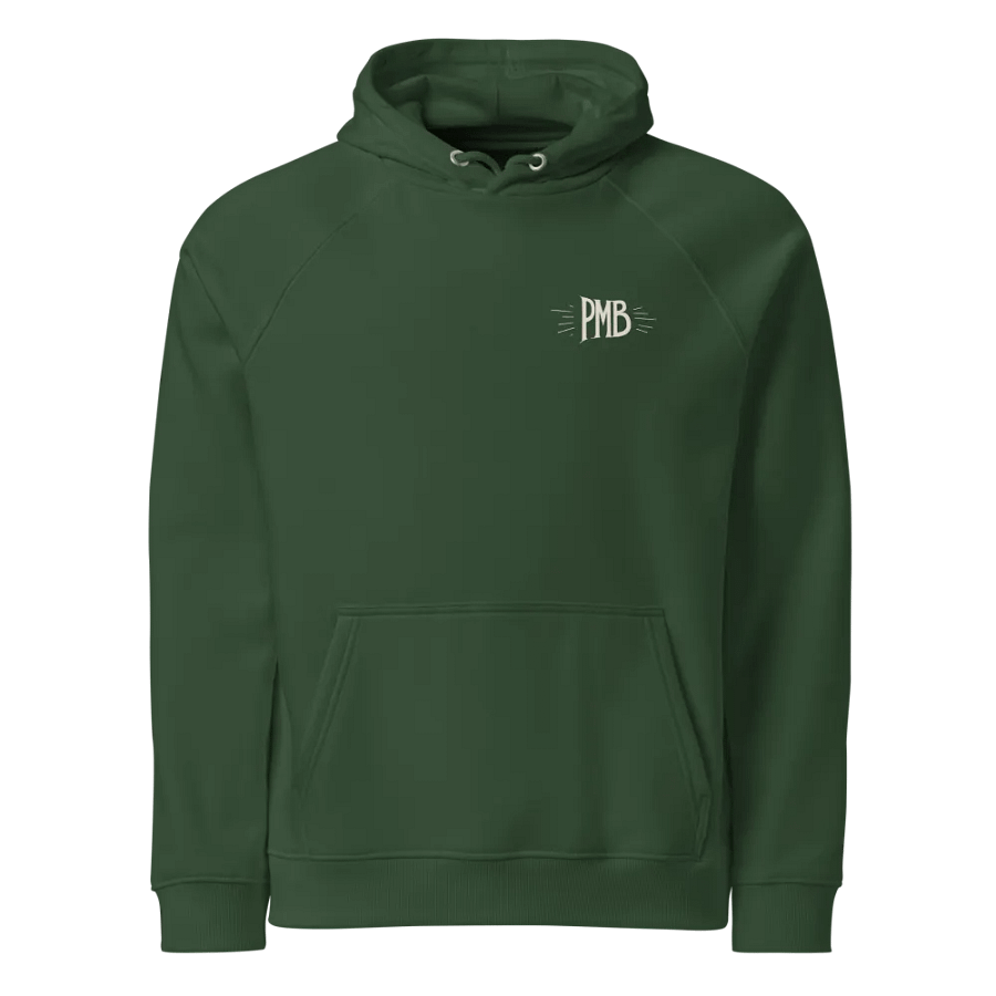 Paper Mountain Band Logo Hoodie product image (3)