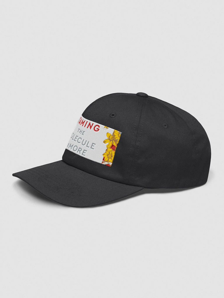 Taming Hat product image (3)