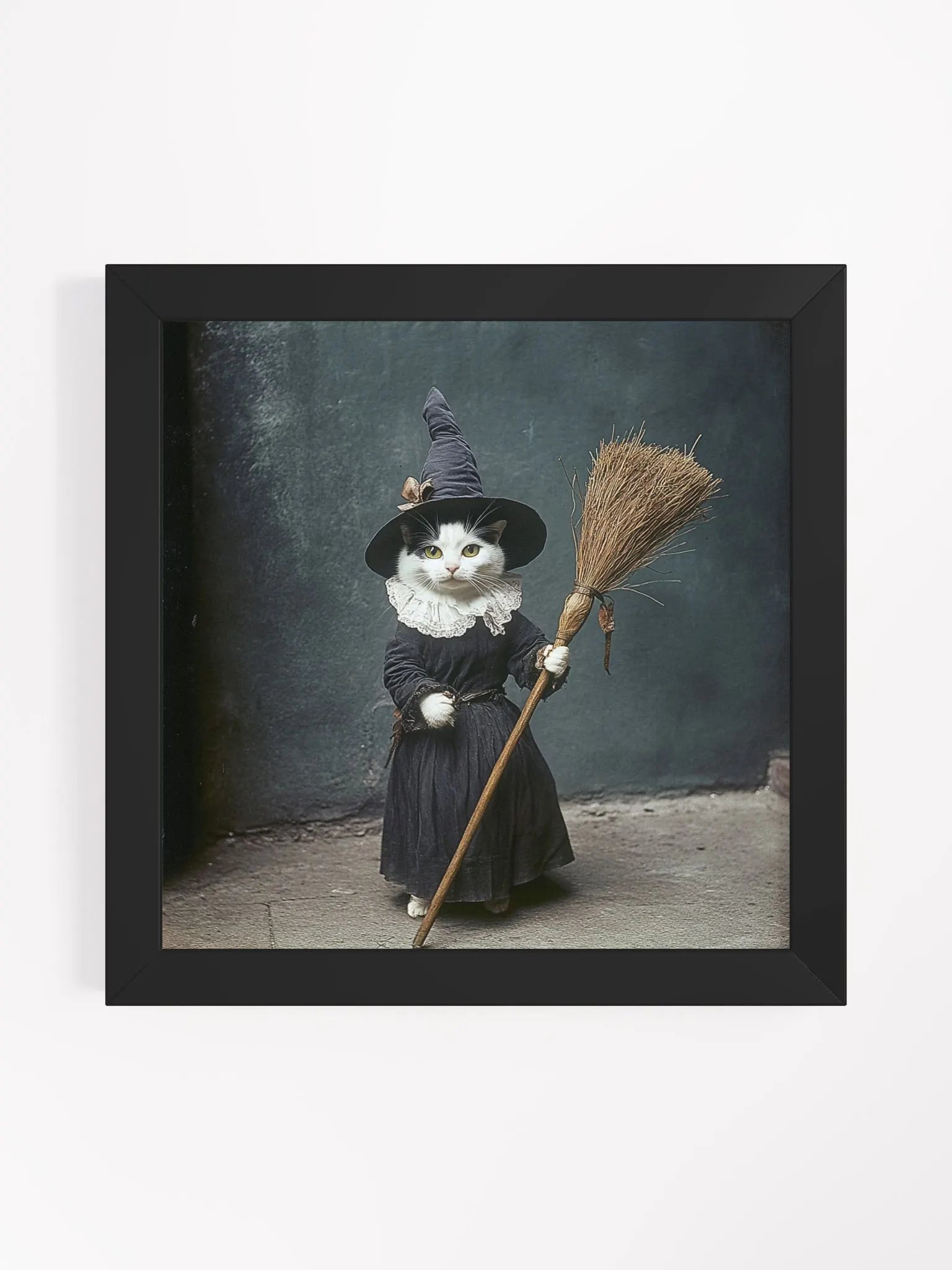 Black and White Cat Witch Photography Wall Art product image (8)