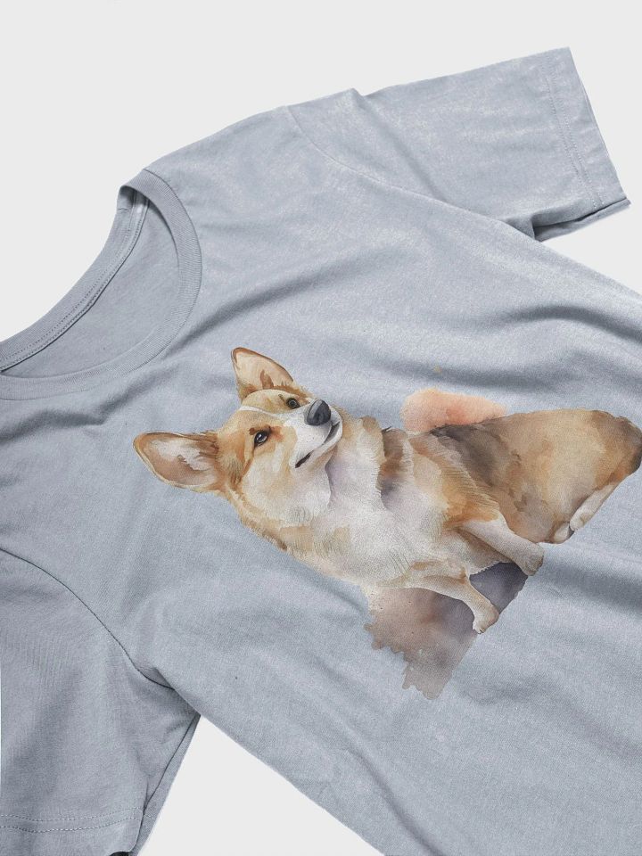 Corgi product image (2)