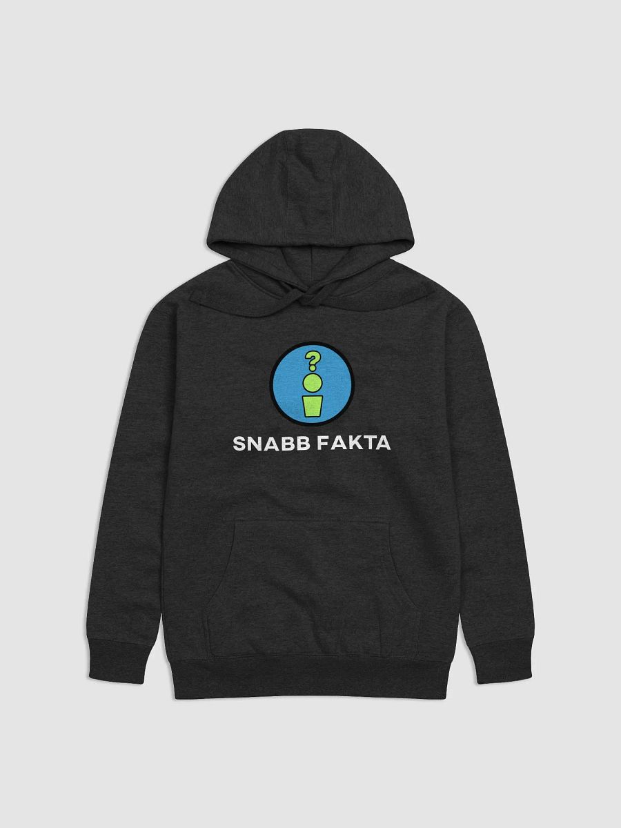 Snabb Fakta Hoodie product image (1)