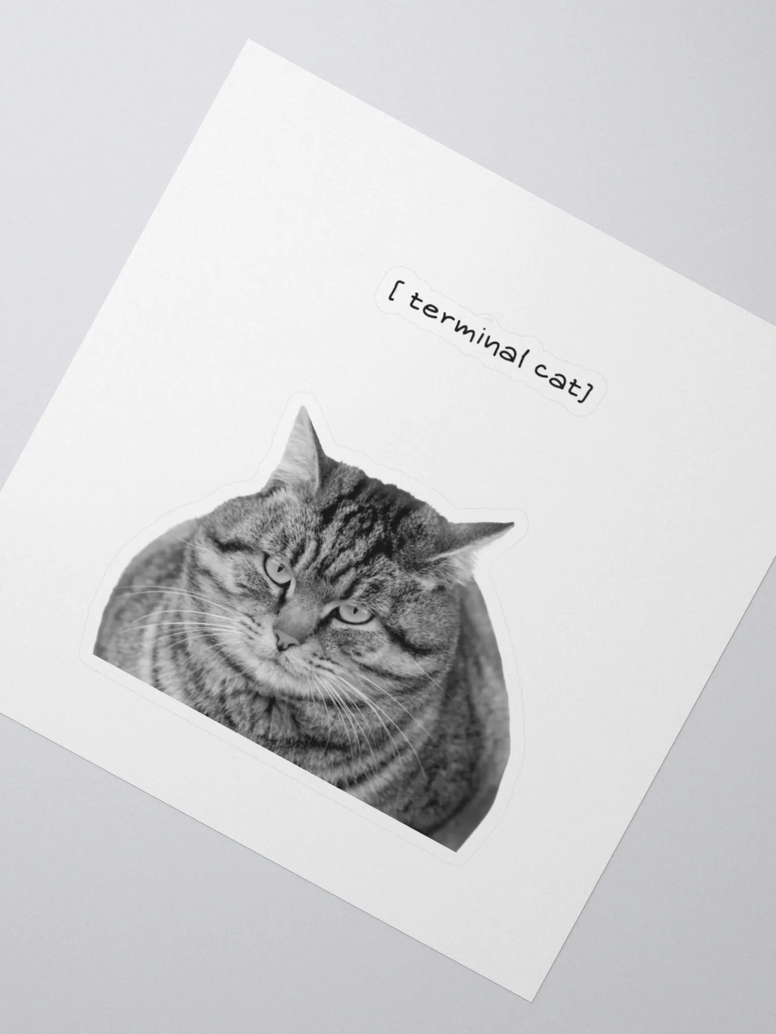 Terminal cat product image (2)
