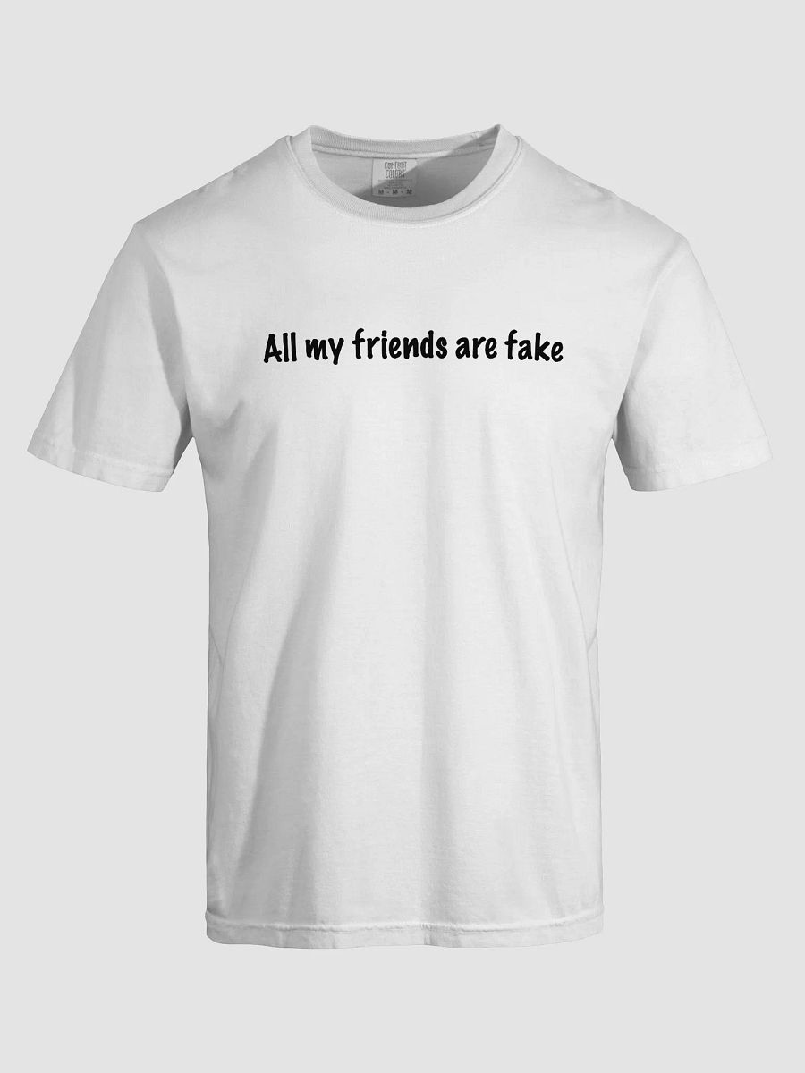All Of My Friends Are Fake product image (30)