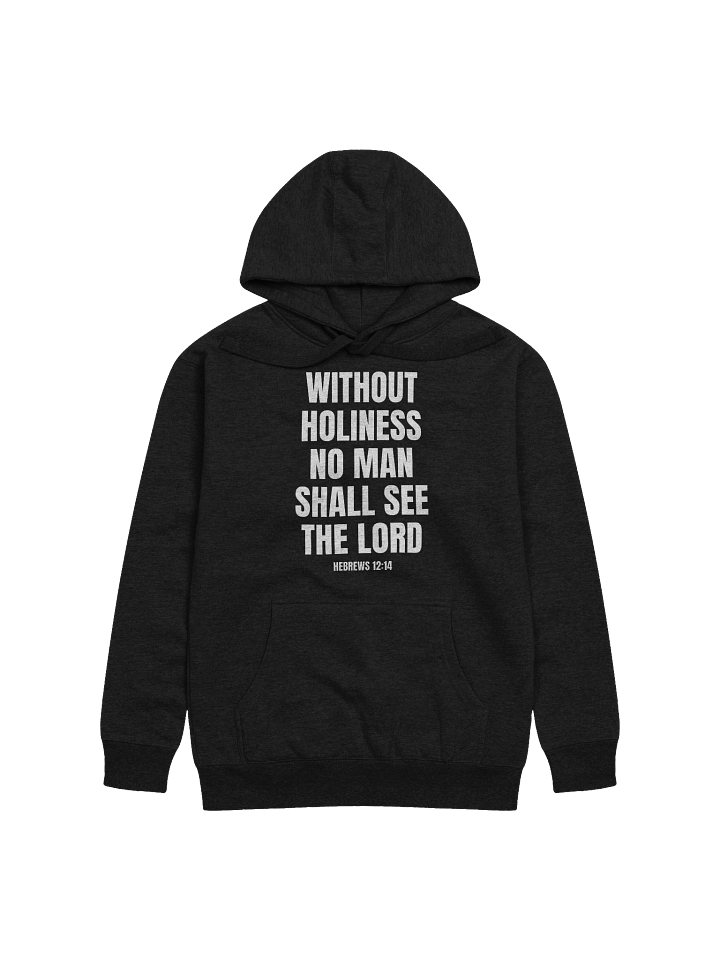 Without Holiness No Man Shall See The Lord Hebrews 12:14 Premium Hoodie product image (2)